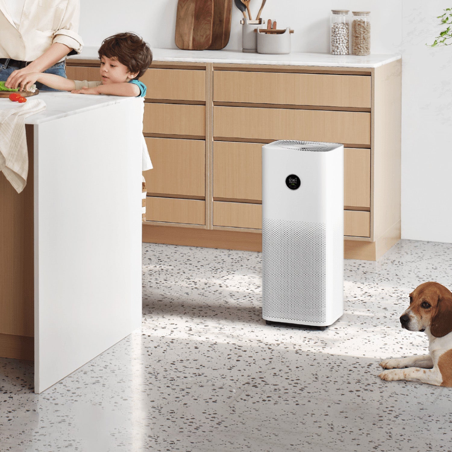 Xiaomi Smart Air Purifier 4 Pro- Klasse C