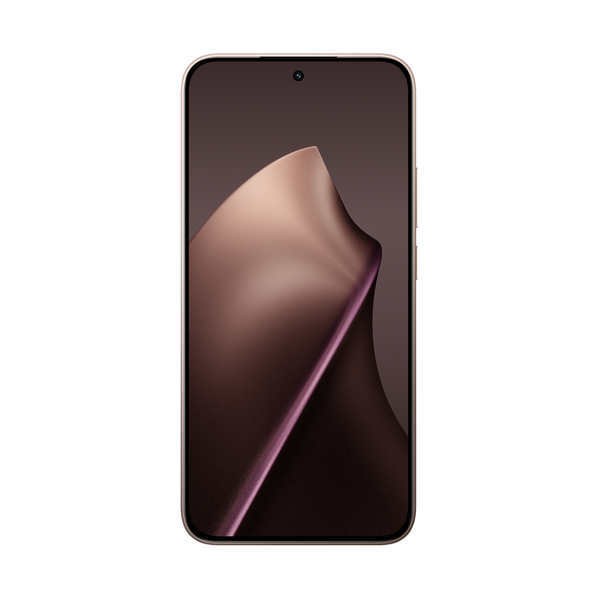 Xiaomi 15T 12 GB RAM 256 GB ROM