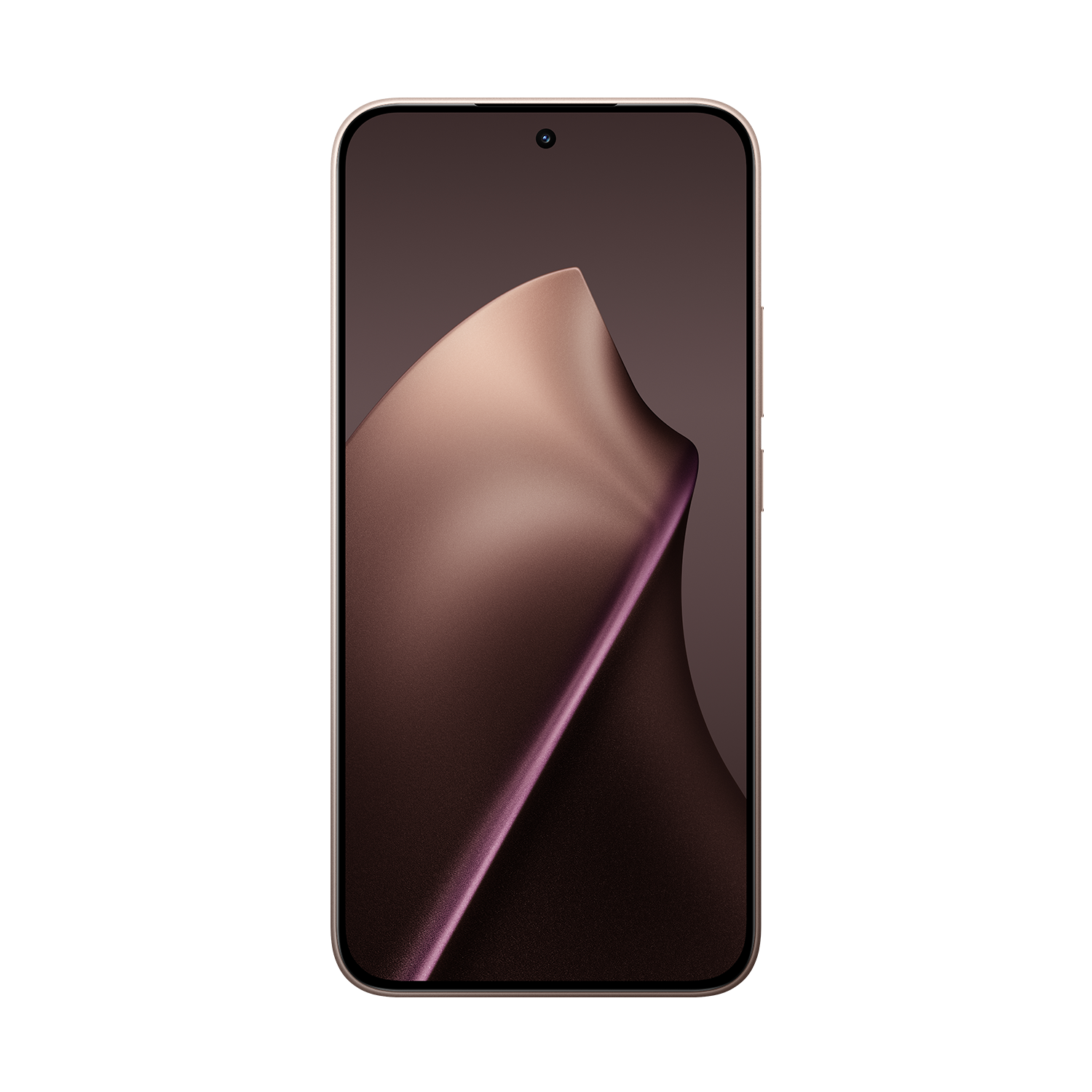Xiaomi 15T 12 GB RAM 256 GB ROM