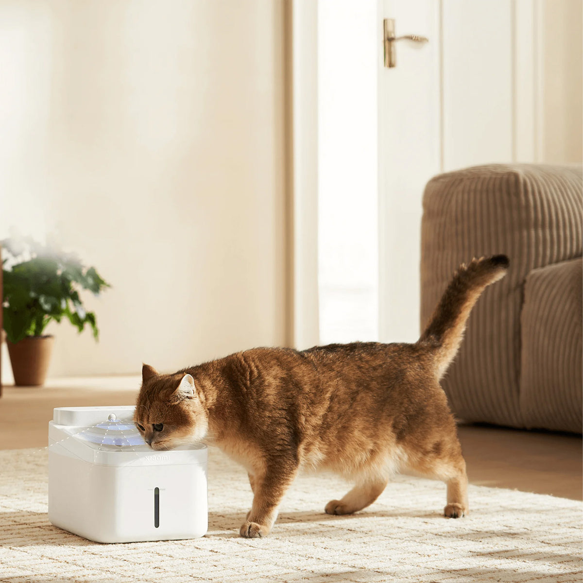 Xiaomi Smart Pet Fountain 2 EU