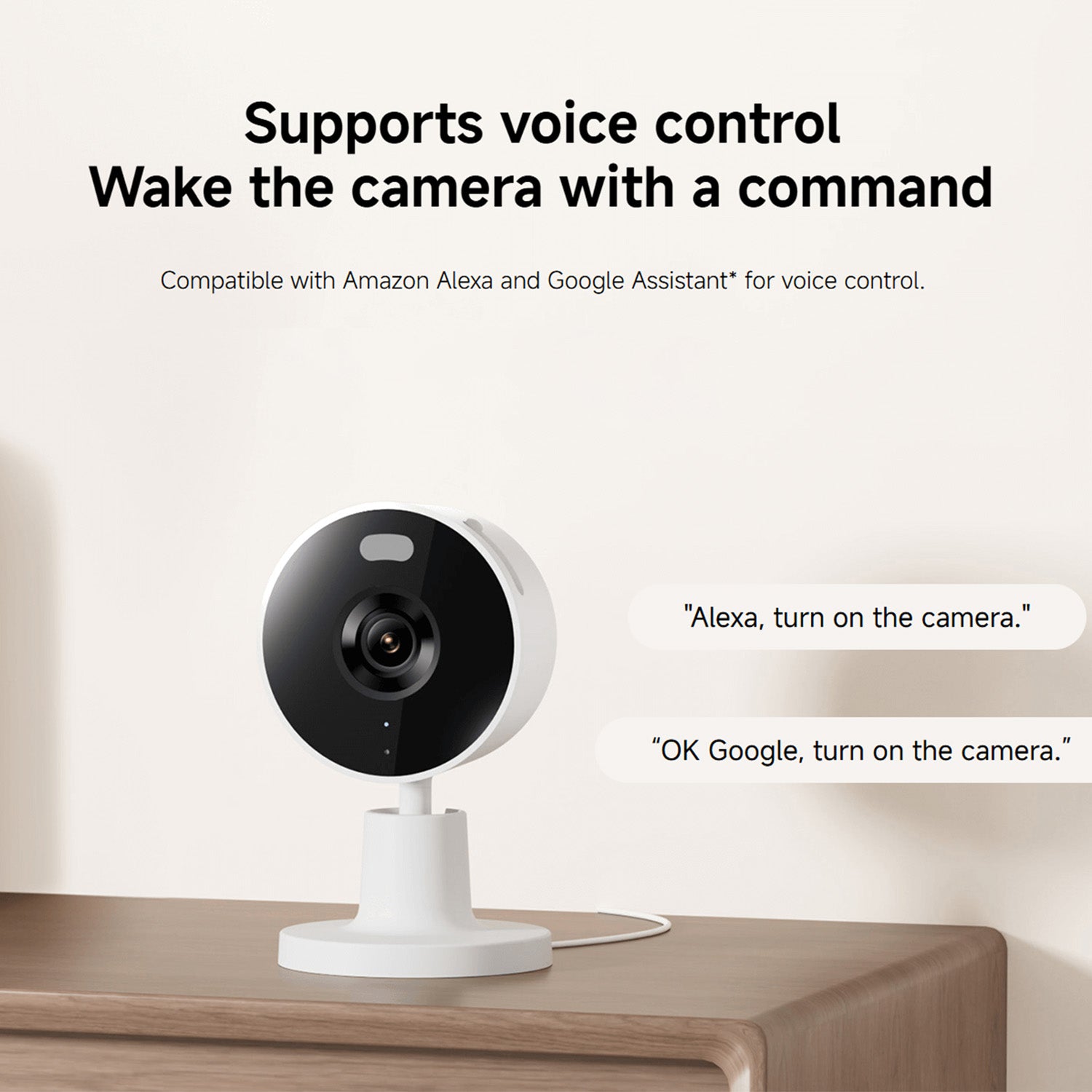 Xiaomi Smart Camera C100