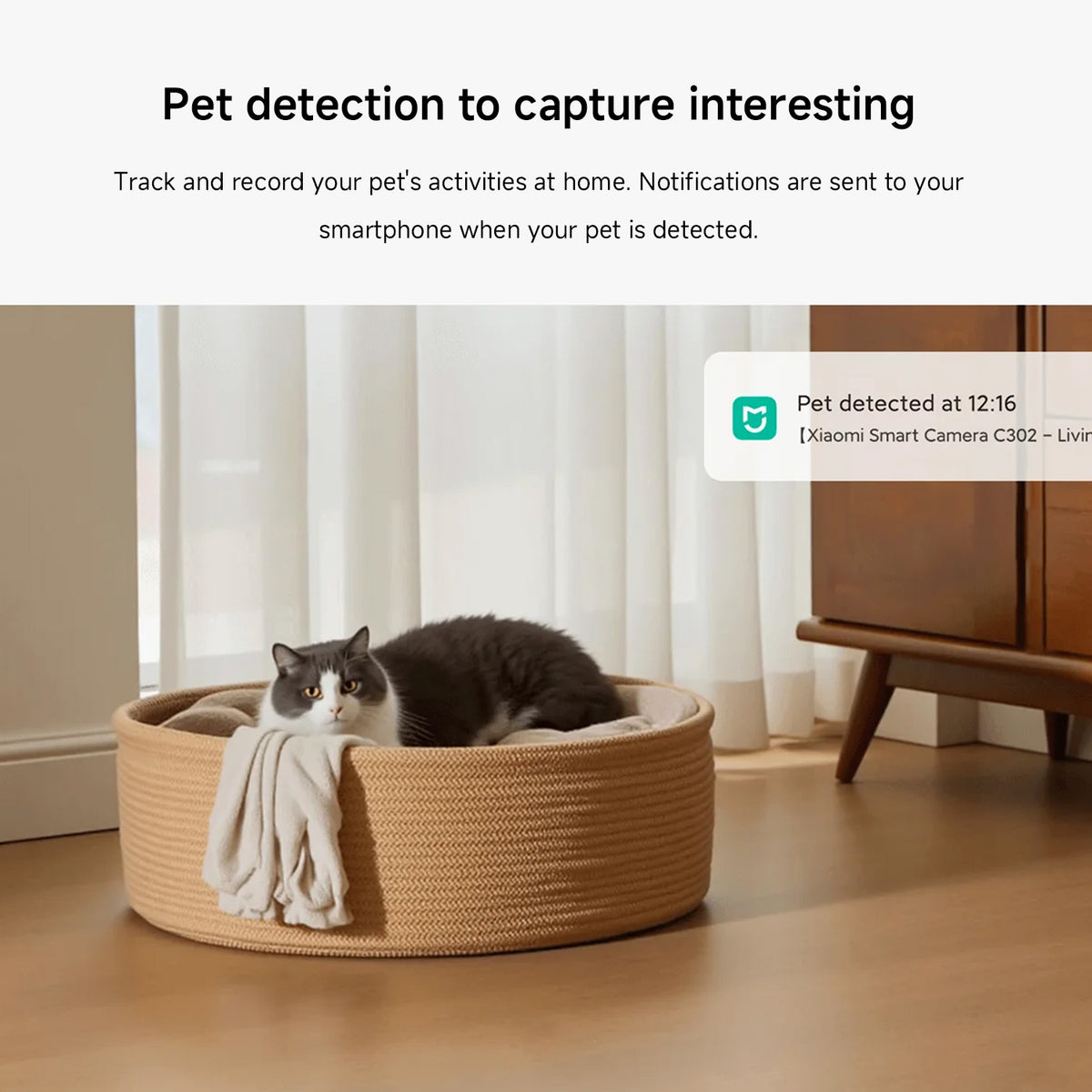 Xiaomi Smart Camera C302