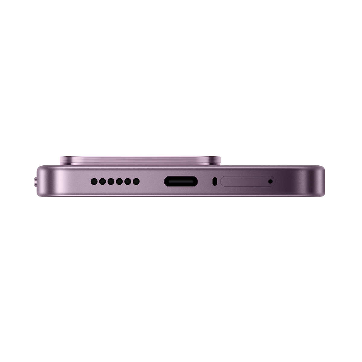 SCJX|D76747|p12a_violet_bottom_r2.png