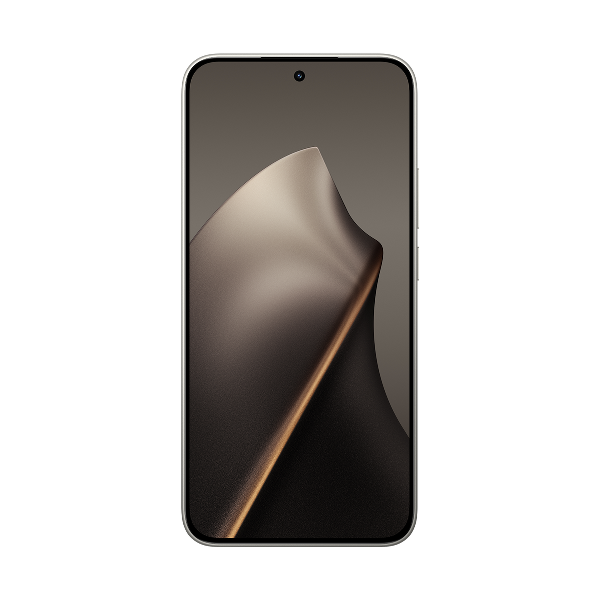 Xiaomi 15T 12 GB RAM 256 GB ROM
