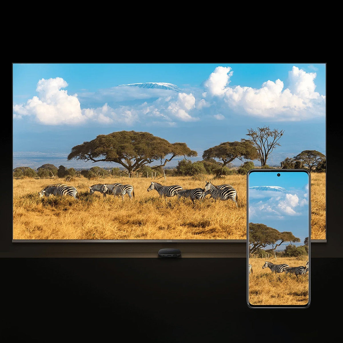 SCJX|63598-C|63598-xiaomi_tv_box_s_3rd_gen_eu-4.jpg