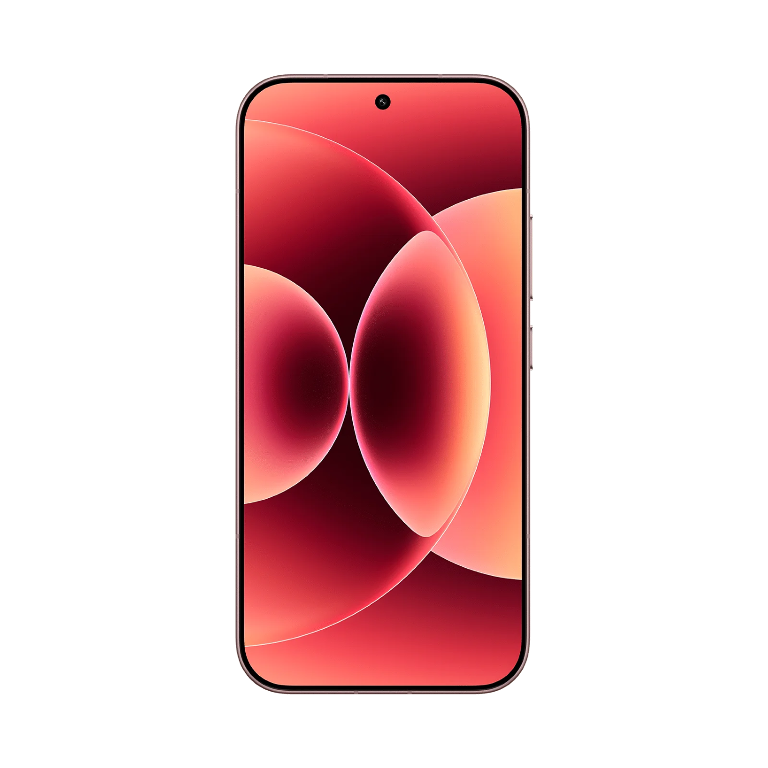 Xiaomi 17 5G 12 GB RAM 512 GB ROM