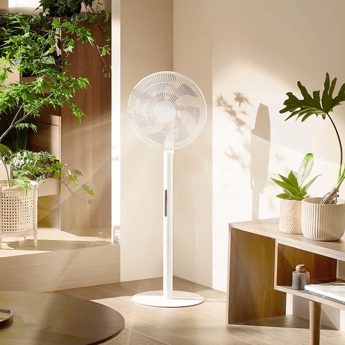 Xiaomi Smart Standing Fan Pro Slim EU - Class A
