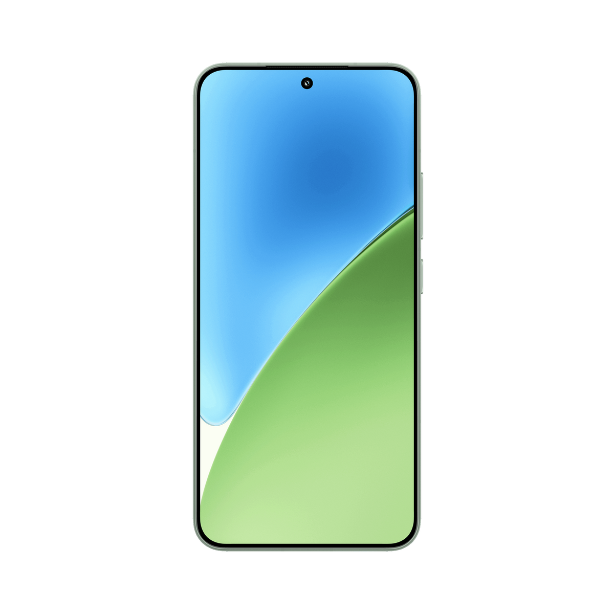 Xiaomi 15 12 GB RAM 256 GB ROM