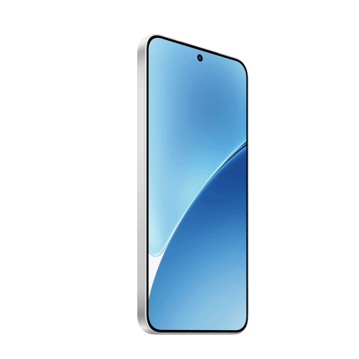 Xiaomi 15 12 GB RAM 256 GB ROM