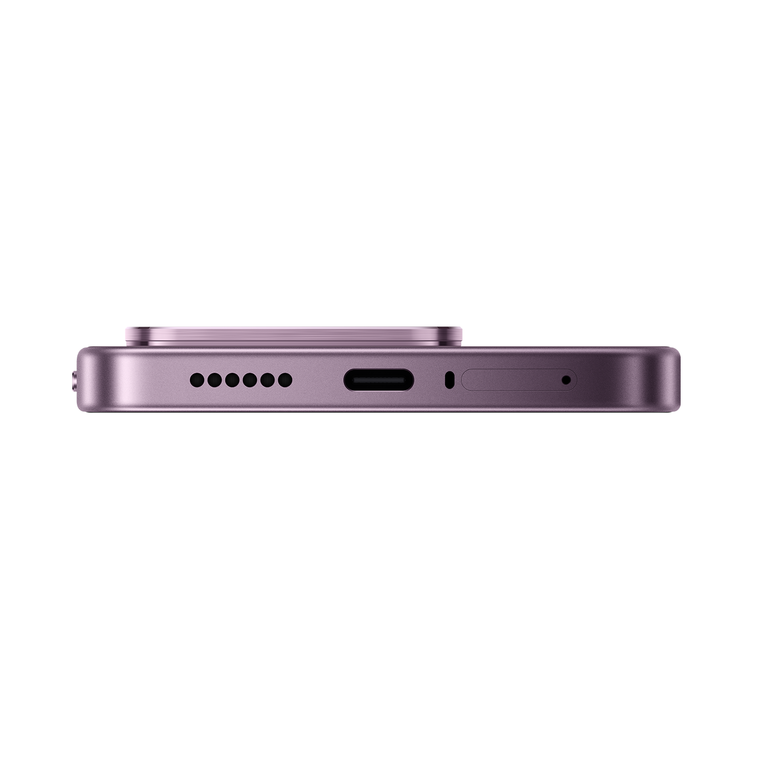 SCJX|D76772|p12a_violet_bottom_r2.png