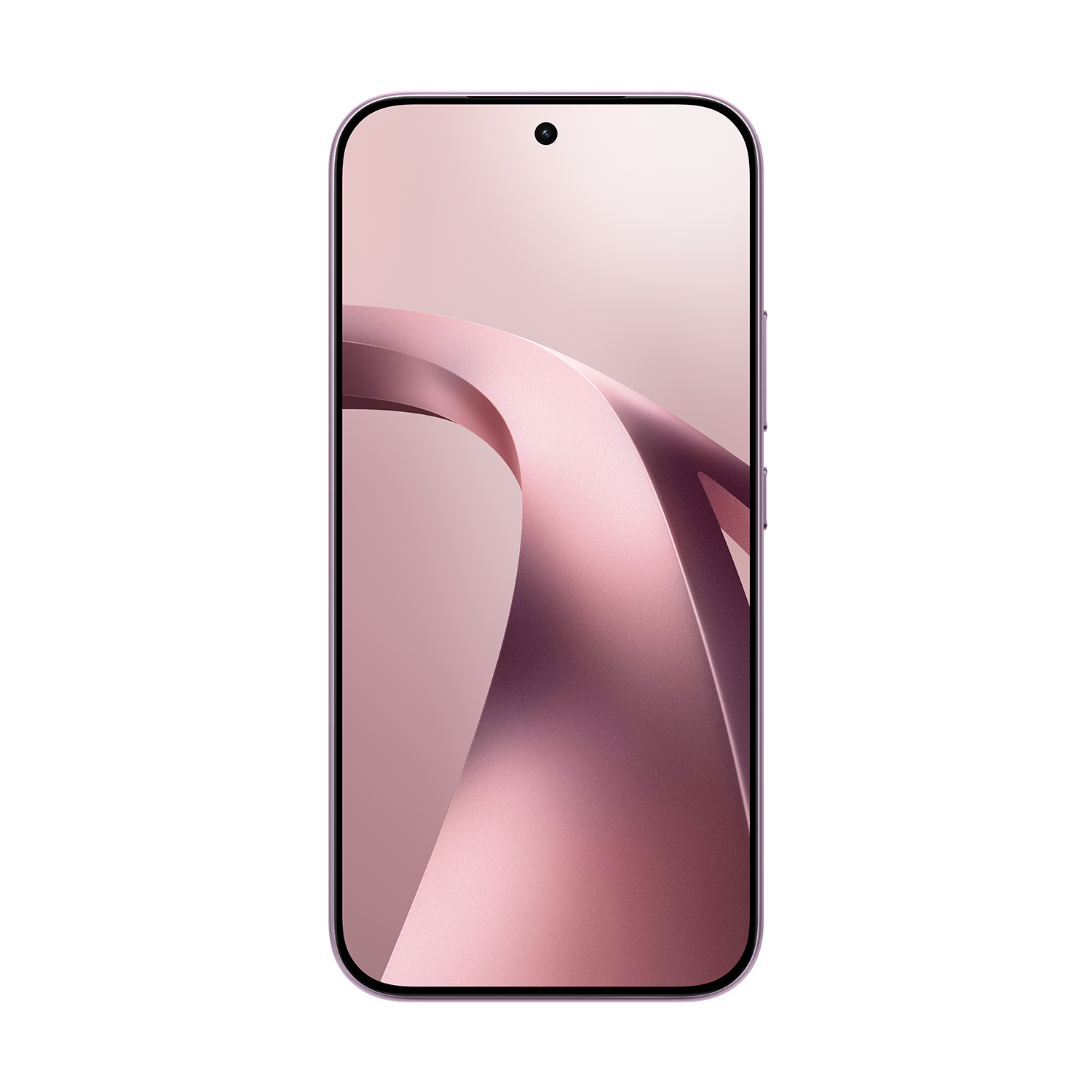 SCJX|D76772|p12a_violet_front_r1_wallpaper.png