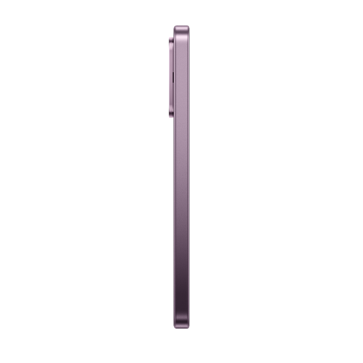 SCJX|D76747|p12a_violet_left_r2.png