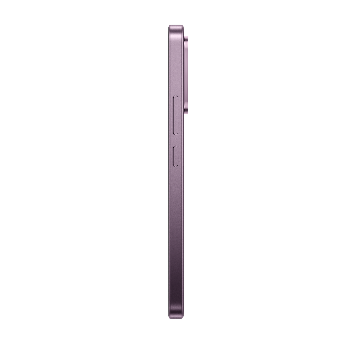 SCJX|D76747|p12a_violet_right_r4.png