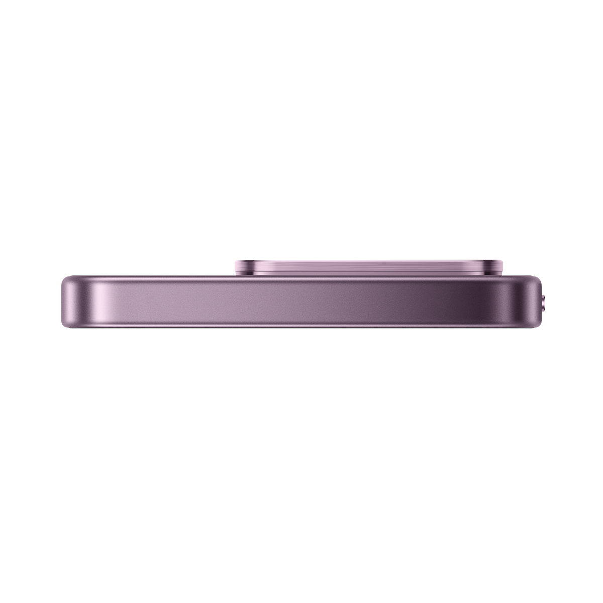 SCJX|D76772|p12a_violet_top_r2.png