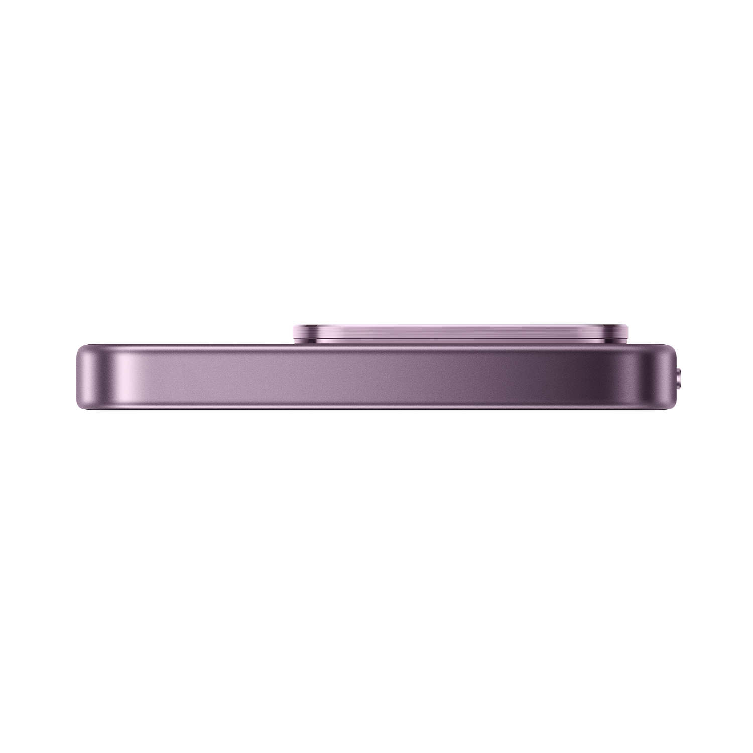 SCJX|D76747|p12a_violet_top_r2.png