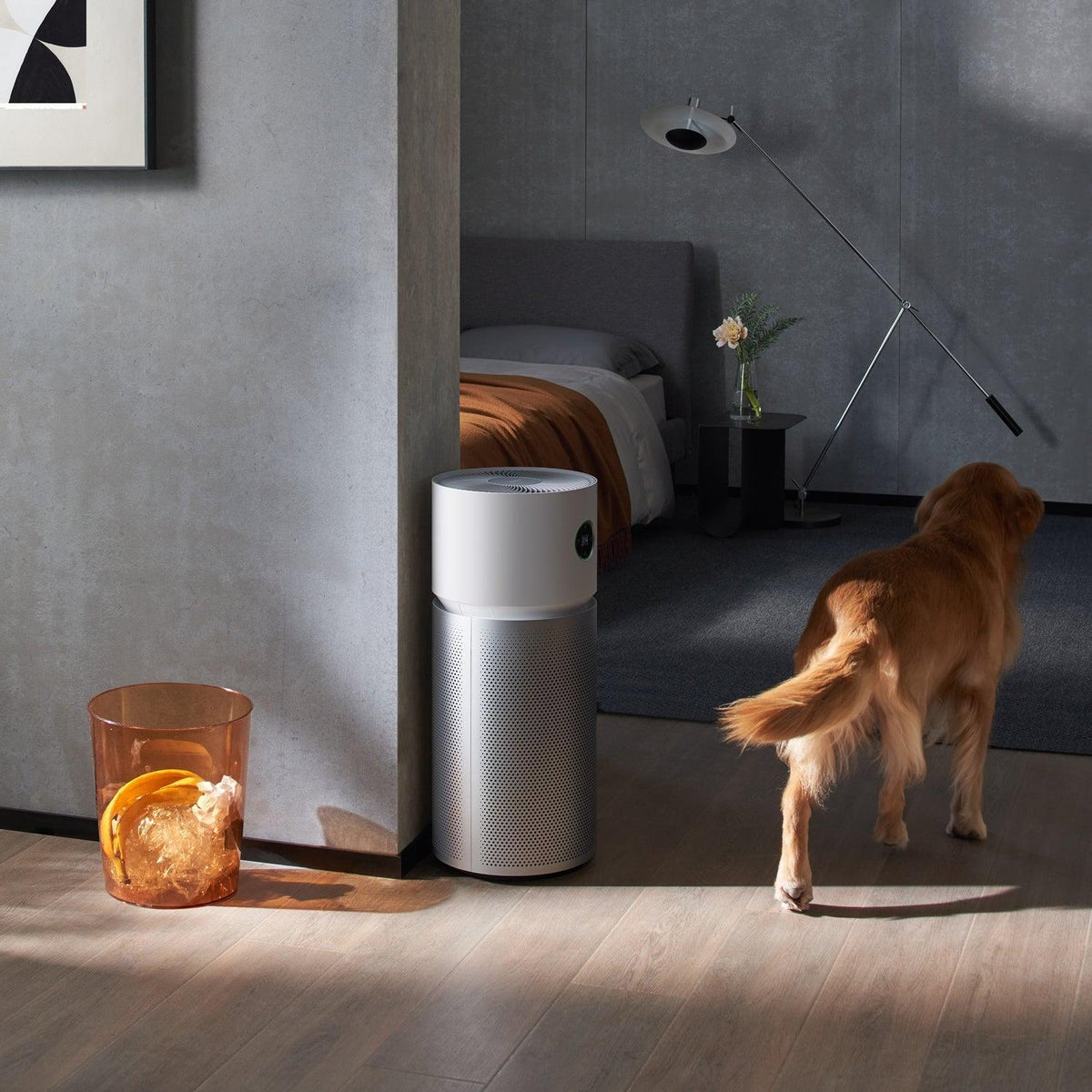 Xiaomi Smart luftrenser Elite EU