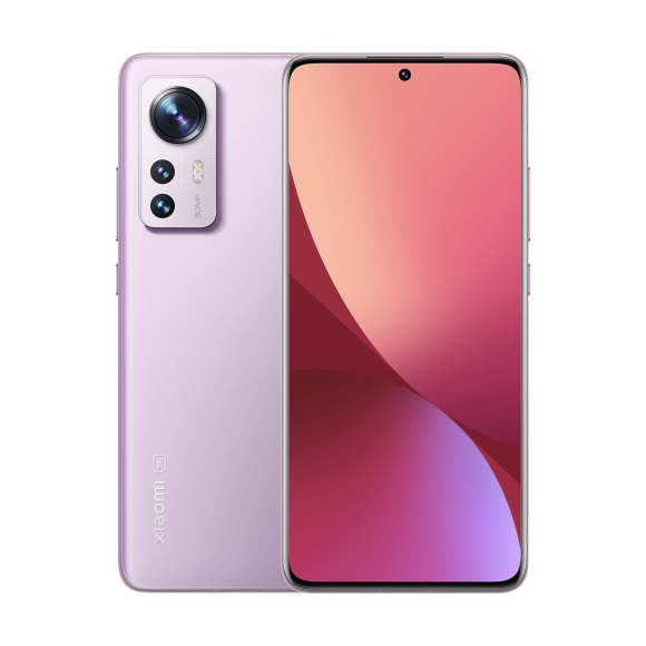 SCJX|D38729|l3-purple-2-1600px_1.png