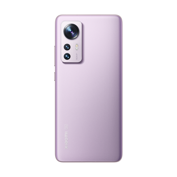 SCJX|D38729|l3-purple-4-1600px_1.png